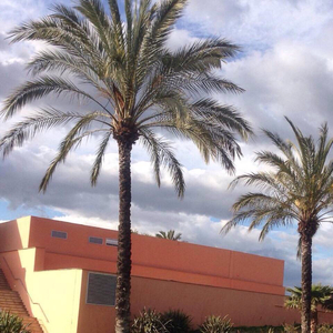 啊灬嗯灬啊灬用力点少妇视频
