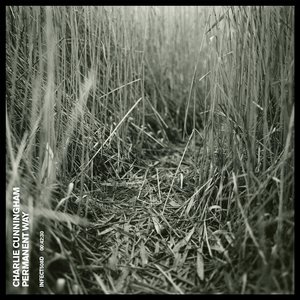 极品大尺度sm良心剧 女烈刑讯
