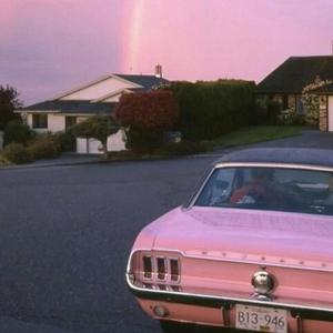 狗爷闯城中村 高清视频
