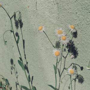 国产露脸贵在真实
