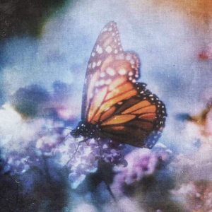 会聊骚的人工智能
