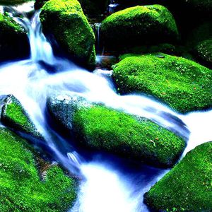 徐青龙漫画免费全部章节
