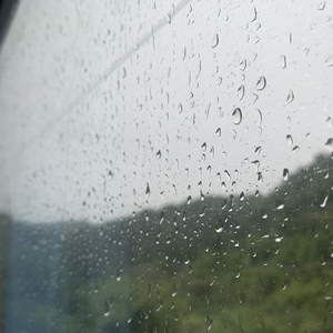 色老板最新地址
