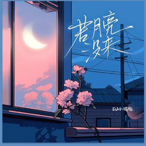 色老板电信线路二
