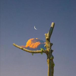 王霞裸体性慾旺盛
