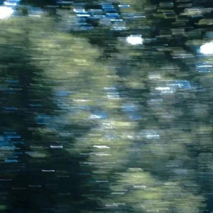 四川少如和四川少如
