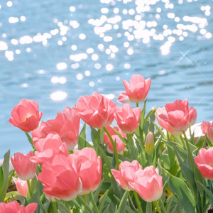 男男同性肛交大鸡巴操用力操前列腺小说
