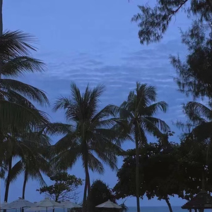 极品人妻3p系列
