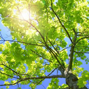 白丝女生被曹网址
