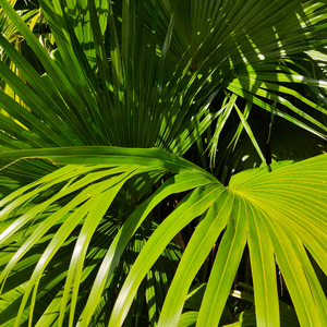 白丝女生被曹网址
